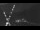 Webcam in Grächen, 0.1 mi away