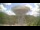 Webcam in Bad Münstereifel, 17.5 mi away