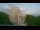 Webcam in Bad Münstereifel, 30.9 km