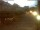 Webcam in Radolfzell am Bodensee, 9.7 km