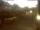 Webcam in Radolfzell am Bodensee, 8 km entfernt