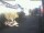 Webcam in Radolfzell am Bodensee, 3.1 mi away