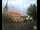 Webcam in Ratingen, 12.4 mi away