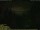Webcam in Wuppertal, 0 mi away