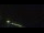 Webcam auf der MS Europa, 254.3 km entfernt