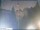 Webcam in Cantù, 29.1 km