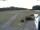 Webcam in Elz, 26 km