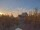 Webcam in Norden, 4.4 km entfernt