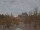 Webcam in Norden, 1.7 mi away