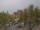 Webcam in Norden, 24.4 km entfernt