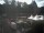 Webcam in Norden, 4.4 km