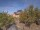Webcam in Norden, 4.4 km