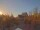 Webcam in Norden, 9.8 mi away