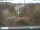 Webcam in Clausthal-Zellerfeld, 7 km