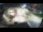 Webcam in Otepää, 899.4 km entfernt