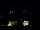 Webcam in Bled, 0.1 km entfernt