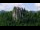 Webcam in Bled, 0.1 km entfernt