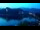 Webcam in Bled, 0.1 km