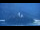 Webcam in Bled, 16.2 km