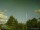 Webcam in Dessau, 35.3 km