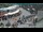 Webcam at the Stelvio Pass, 0.1 mi away