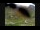 Webcam in Neustift im Stubaital, 5.7 km