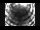 Webcam in Neustift im Stubaital, 1.8 mi away