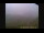 Webcam in Neustift im Stubaital, 0.1 km entfernt