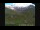 Webcam in Neustift im Stubaital, 5.7 km
