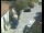 Webcam in Pettoranello del Molise, 66.9 km entfernt