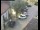 Webcam in Pettoranello del Molise, 19 km entfernt