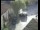 Webcam in Pettoranello del Molise, 11.2 mi away