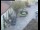Webcam in Pettoranello del Molise, 21.3 km