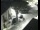 Webcam in Pettoranello del Molise, 38.9 km