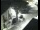 Webcam in Pettoranello del Molise, 0 km