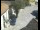 Webcam in Pettoranello del Molise, 7.5 mi away