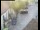Webcam in Pettoranello del Molise, 38.9 km