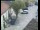 Webcam in Pettoranello del Molise, 32.2 km