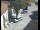 Webcam in Pettoranello del Molise, 2.2 mi away