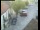 Webcam in Pettoranello del Molise, 18.3 mi away