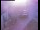 Webcam in Pettoranello del Molise, 39.3 km entfernt