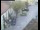 Webcam in Pettoranello del Molise, 14.7 km entfernt