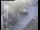 Webcam in Pettoranello del Molise, 10.6 mi away