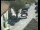 Webcam in Pettoranello del Molise, 8.2 mi away