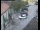 Webcam in Pettoranello del Molise, 18.3 mi away
