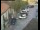 Webcam in Pettoranello del Molise, 16.9 mi away