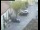 Webcam in Pettoranello del Molise, 27.6 km