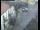 Webcam in Pettoranello del Molise, 12.4 mi away
