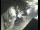 Webcam in Pettoranello del Molise, 18.3 mi away