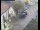 Webcam in Pettoranello del Molise, 14.4 mi away